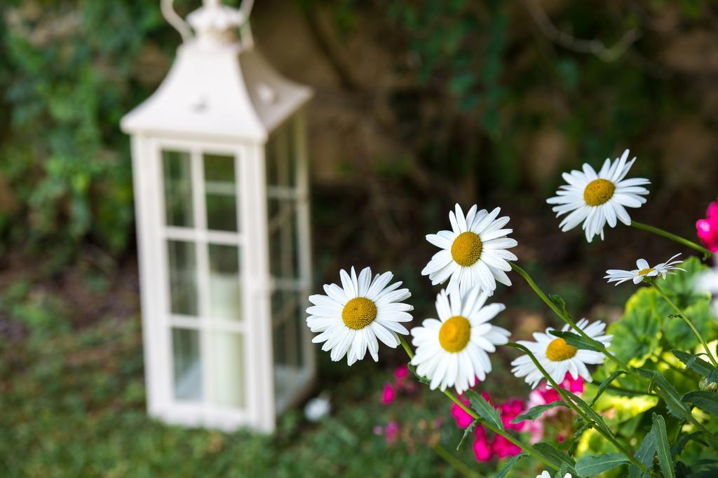 Gialou Studio Akrotiri  Dış mekan fotoğraf